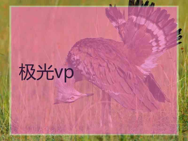 极光vp